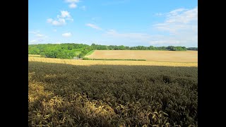 Walking up to Ten Acre Field from Worzel Gummidge [upl. by Boice541]