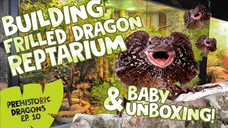 PD EPISODE 10 BUILDING FRILLED DRAGON REPTARIUM amp BABY UNBOXING [upl. by Neelat]