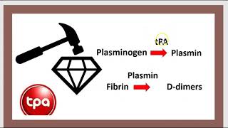 Hémosase Test Coagulation TCA Fibrinogène Facteur Willebrand CIVD Thromboxane PTT PT INR 3 [upl. by Zaid]