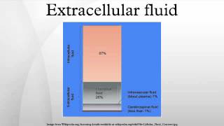 Extracellular fluid [upl. by Humberto859]