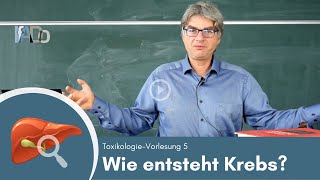 Toxikologie erklärt Wie entsteht Krebs Vorlesung 5 [upl. by Jarlen]