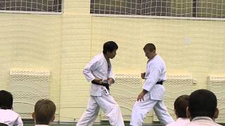 Masao Kawasoe Sensei JKA Seminar november 2013 1 [upl. by Meekah213]