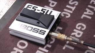 BOSS FS5U FS5L FS6 Foot Switch  By GearTestUa [upl. by Serg452]