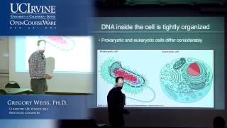 Introduction to Chemical Biology 128 Lecture 05 NonCovalent Interactions DNA [upl. by Lerraf]