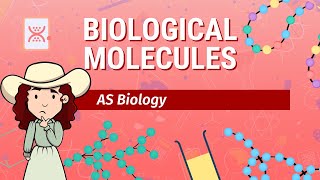 Intro to Biological Molecules  Biological Molecules  A Level Biology 9700 [upl. by Eylatan]