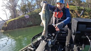 SPRING BASSIN ON LAKE BERRYESSA kayakbassfishing spottedbass lakeberryessa bassfishing fishing [upl. by Werda]