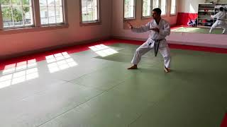 HEIAN NIDAN  Shotokan Kata [upl. by Grimbly]