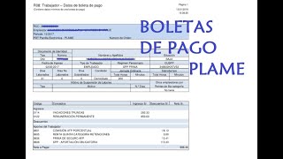 Como imprimir las boletas de pago del PLAME 2023  SUNAT [upl. by Airdnal735]