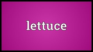 Lettuce Meaning [upl. by Olenta881]