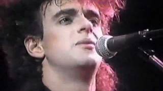 Soda Stereo en Viña del Mar 1987 Signos [upl. by Aihselef]