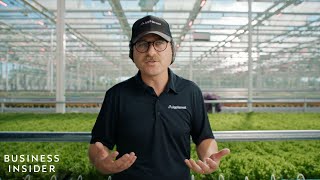 One Of The World’s Largest Indoor Farms Is Using Advanced Tech To Build A More Resilient Food System [upl. by Maroney101]