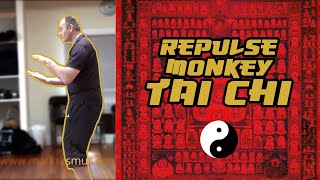 Repulse monkey Tai Chi Mark Rasmus Aug 2013 [upl. by Hal509]