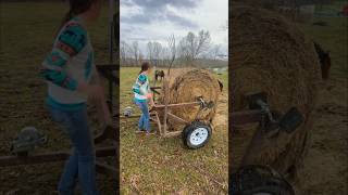 Bale unroller build welding welder metalwork cows horses feeding hay grass reels fyp diy [upl. by Loginov]