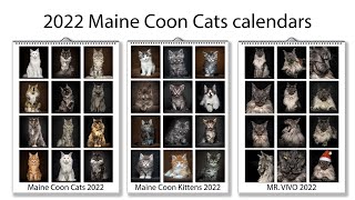 2022 Maine Coon Cats calendars by Felis Gallery [upl. by Shem702]