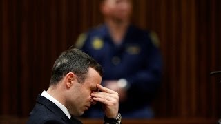 Oscar Pistorius Trial Dying Reevas Screams As Loud As A Plane  Day 34 [upl. by Hays491]