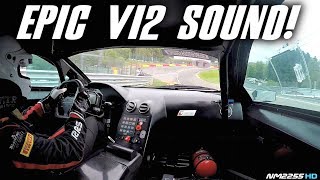 Lamborghini Murcielago 670 RSV GT1 OnBoard at SpaFrancorchamps  EPIC Sounds [upl. by Amzaj]