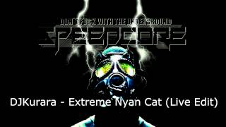 Oldschool Speedcore DJKurara  Extreme Nyan Cat Live Edit [upl. by Ytrebil99]