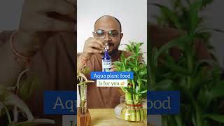 Aqua Plant Food  Fertilizer for lucky Bamboo amp fertiliser for money plant in water [upl. by Cir617]