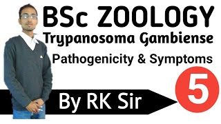 Zoology Trypanosoma Gambiense Pathogenicity and Symptoms of Trypanosoma GambienseBSc [upl. by Fasa]