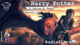 Audiolibro  Harry Potter e il calice di fuoco  Lettura e Commento Cap 21 [upl. by Lenni]