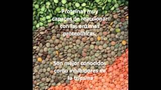 Alimentos proteicos utilizados en la Nutricion Animal [upl. by Sel]