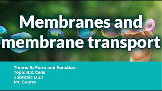 B21 Membranes and membrane transport  IB Biology SL NEW SYLLABUS First assessment 2025 [upl. by Meece]