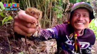 2 Tarsiers naSTRESS dahil pinaglaruan ng Dalawang Vloggers [upl. by Minni]