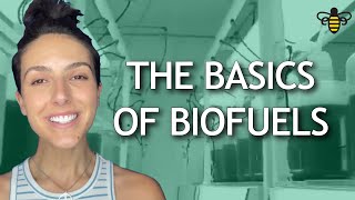 The Basics of Biofuels [upl. by Iveson]