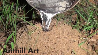 Casting Another Fire Ant Colony with Molten Aluminum Cast 061 [upl. by Halda]