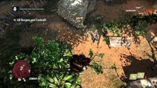 How to double assassinate Cockram and Burgess  Assassins Creed IV Black Flag [upl. by Leugar723]