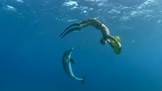 Swim with Dolphins as a Career  inspired by Academy Award® nominated IMAX Film [upl. by Violeta]