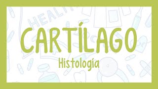 CARTÍLAGO ¡Fácil explicación Histología [upl. by Varien563]