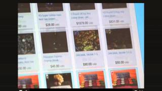 Buying illegal drugs on the Silk Road  as featured on Channel 4 News [upl. by Trask]