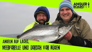 Schleppen auf Lachs vor Rügen mit Überraschung  Team Bodden Angeln  Anglerboard TV [upl. by Anaela596]