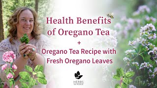 Health Benefits of Oregano Tea  Oregano Tea Recipe with Fresh Oregano Leaves [upl. by Meehahs466]