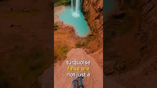 Havasu Falls Havasupai Arizona  Supai Village Arizona Waterfalls  Grand Canyon shorts [upl. by Nuahsyt]