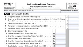 IRS Schedule 3 walkthrough Additional Credits amp Payments [upl. by Eihtur]