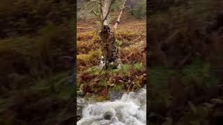 Stunning hike up to the priests hole at dove crag in the Lake District very peaceful overnighter [upl. by Licht]