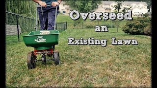 How To Overseed An Existing Lawn  Fall Lawn Renovation and Overseeding Step 4 [upl. by Yenatirb]