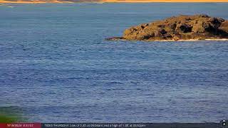 Sep 18 2024 Spinner Dolphins on the North Shore of Oahu Hawaii in 4K Ultra HD [upl. by Rawdon885]