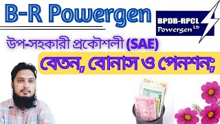 BR Powergen LtdBRPL SubAssistant EngineerSAE Salary Bonus and Pension Details [upl. by Anaej]