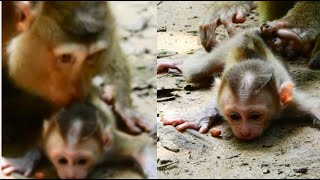 Mommy Flora uses her lips to kiss florn baby to teach him to walk for the first time [upl. by Hibbs]