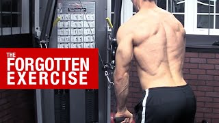 The Forgotten Back Exercise UNLOCK HIDDEN STRENGTH [upl. by Tomasz]