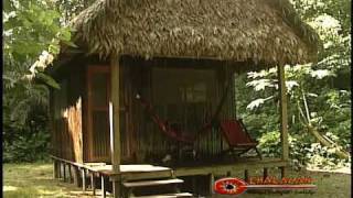 Chalalan Ecolodge  Madidi National Park [upl. by Haerdna]