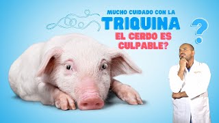 Cuidado con la Triquina o Taenia Solium aquí todo lo que necesita sobre dicho parásito [upl. by Galven641]