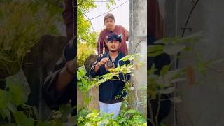 Kisi ko dikhi kya🥹🥲😂 comedy siblings funny roast [upl. by Tiana]