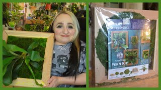 Mounting a Staghorn Fern using the SuperMoss Kit  Review  Demo [upl. by Kipper551]