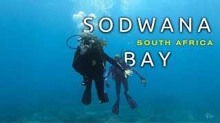 Sodwana Bay South Africa  Overlanding the World  Matches on the Map Ep04 [upl. by Yhotmit]