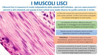 I TESSUTI MUSCOLARI LISCI [upl. by Modeste]