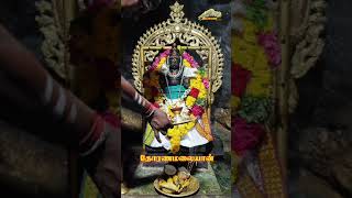 Today 26924 Thoranamalai murugan alangaram [upl. by Bilbe697]